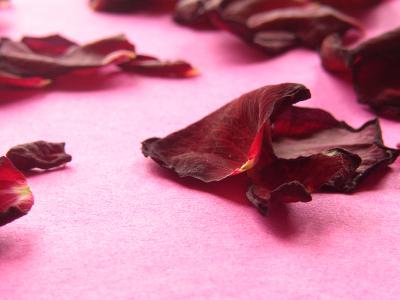 Rosenblätter 10