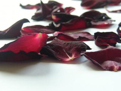 Rosenblätter 14