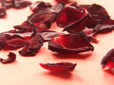 Rosenblätter 15