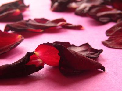Rosenblätter 16
