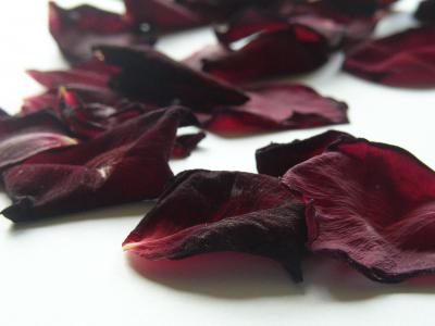 Rosenblätter 3