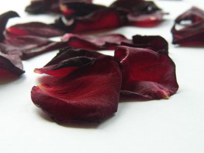 Rosenblätter 6