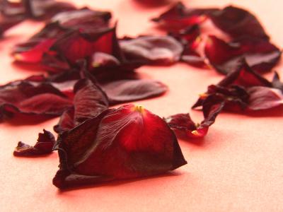 Rosenblätter 7