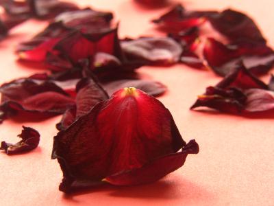 Rosenblätter 8