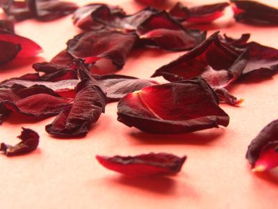 Rosenblätter 9