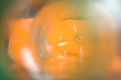 PET-Flasche von innen gelb