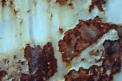 Rost 10