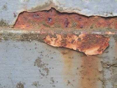 Rost 11