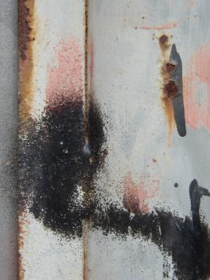 Rost 12