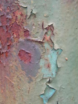 Rost 14