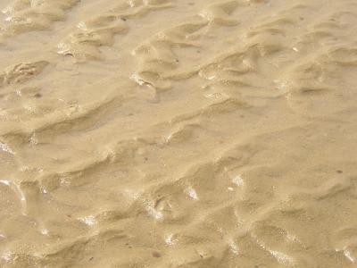 Rillen im Sand