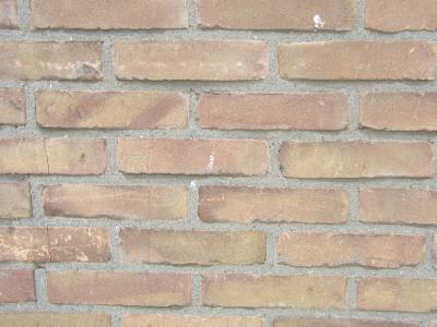 Backstein 14