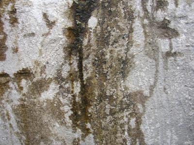 Dreckige Wand 2