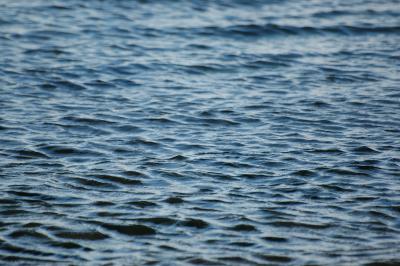 Meerwasser 2
