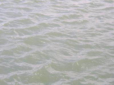 Meerwasser 3