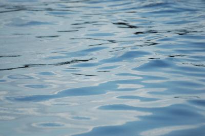 Meerwasser 4