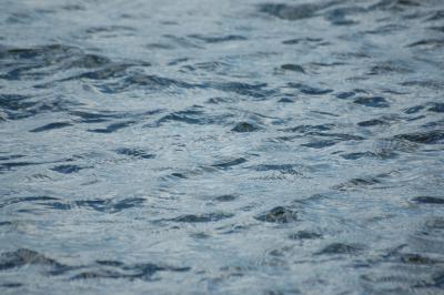 Meerwasser 6