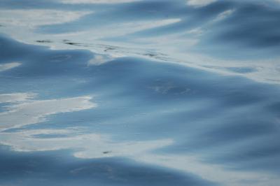 Meerwasser 7